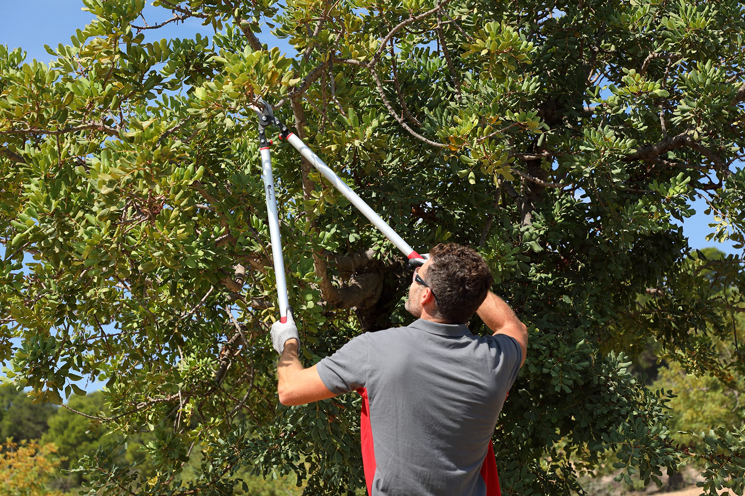 KAMIKAZE Tijera de Poda a Dos Manos. Tijeras Cortasetos De Poda a Dos Manos 45mm Ø. Mangos de Aluminio con Empuñadura Antideslizante y Ergonomica. Poda Frutales y Jardin(45 cm)