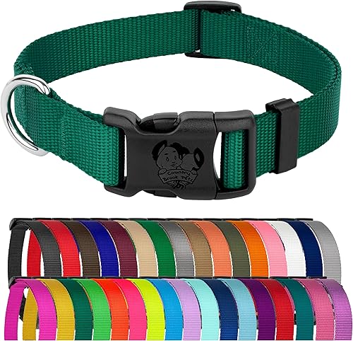Country Brook Design  Collar de nailon de lujo para perro con vibrante selección de 25 colores, Verde