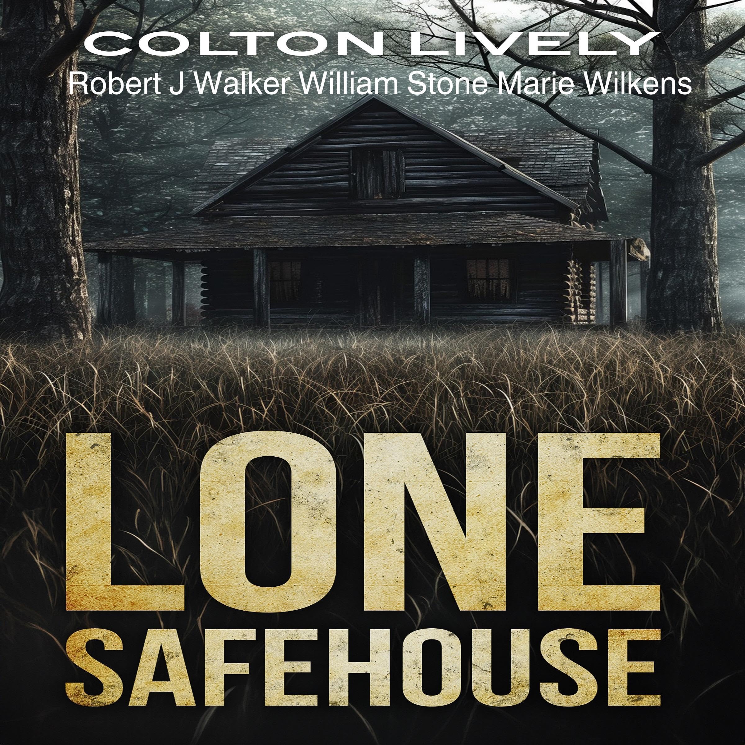 The Lone Safehouse Boxset