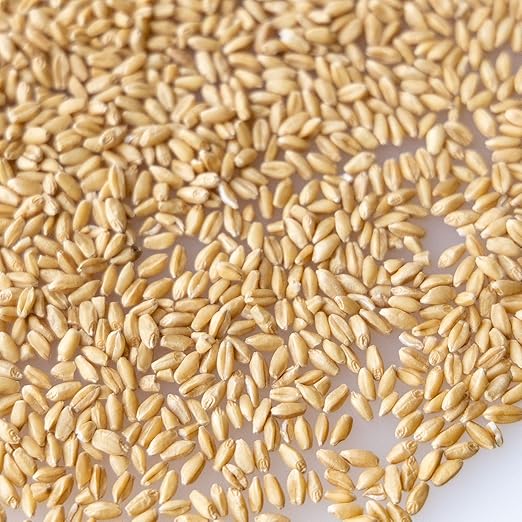 Grain, Wheat - Hard White - 1 Lb ~8,000 Seeds - Triticum aestivum - Non-GMO, Open Pollinated - Farm & Garden Grain - Emergency Storage, Cover Crop