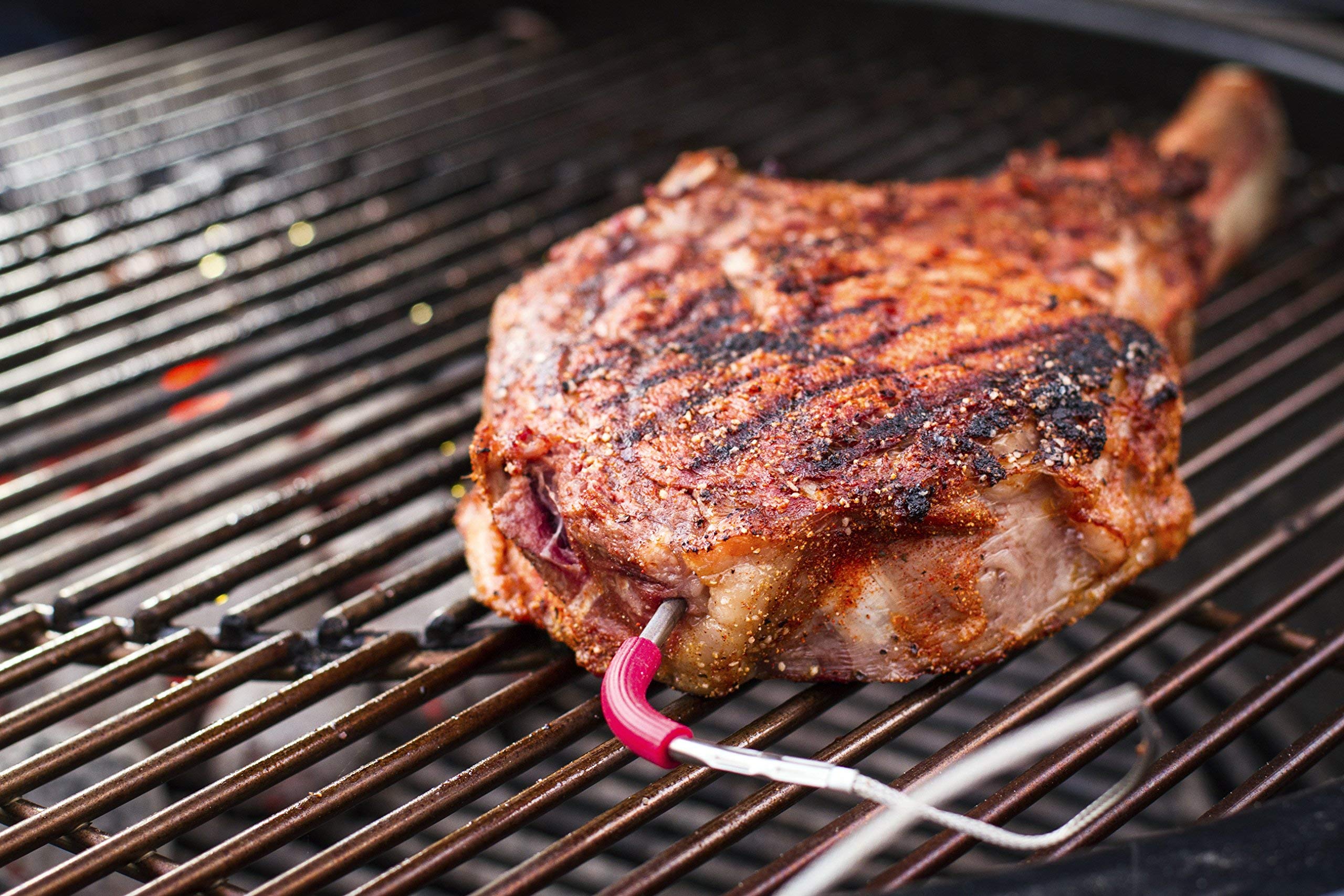 Weber iGrill/Connect Smart Grilling Hub Messfühler für Grillgut, bis 300° C, zur Temperaturüberwachung von Fleisch oder Fisch, 1 Stück - Silber (7212) (Packung mit 2)