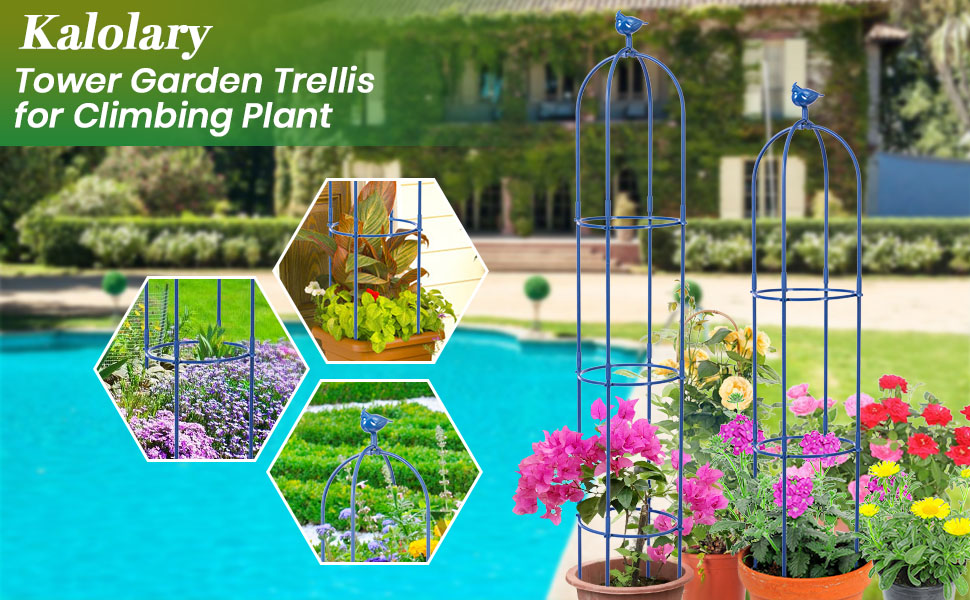 Traliccio Giardino Metallico 6x3 Piedi, Per Piante Rampicanti - Kalolary - Foto 13