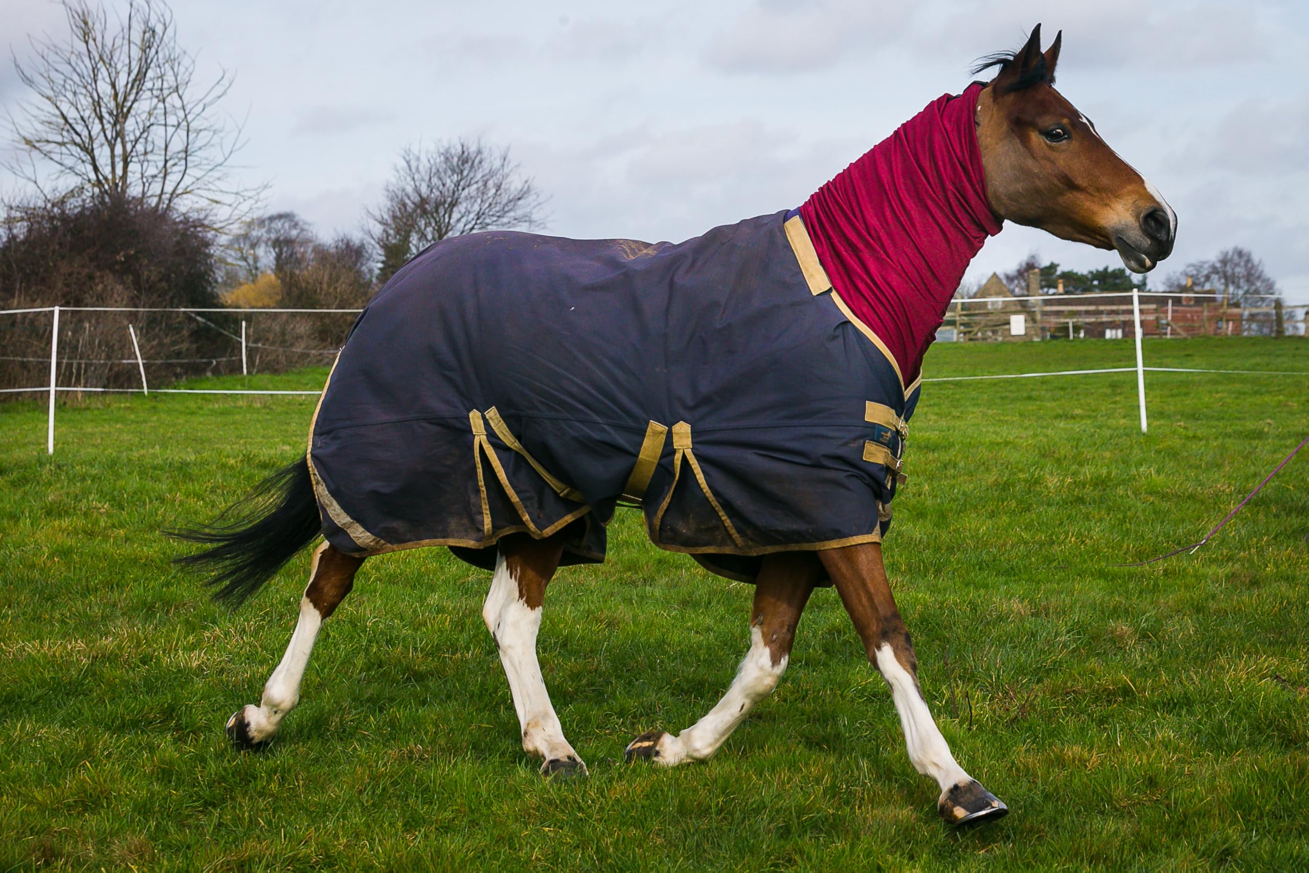 Capuche extensible pour cheval avec fermeture éclair, couverture complète du visage et du cou pour une protection contre les démangeaisons – Mane