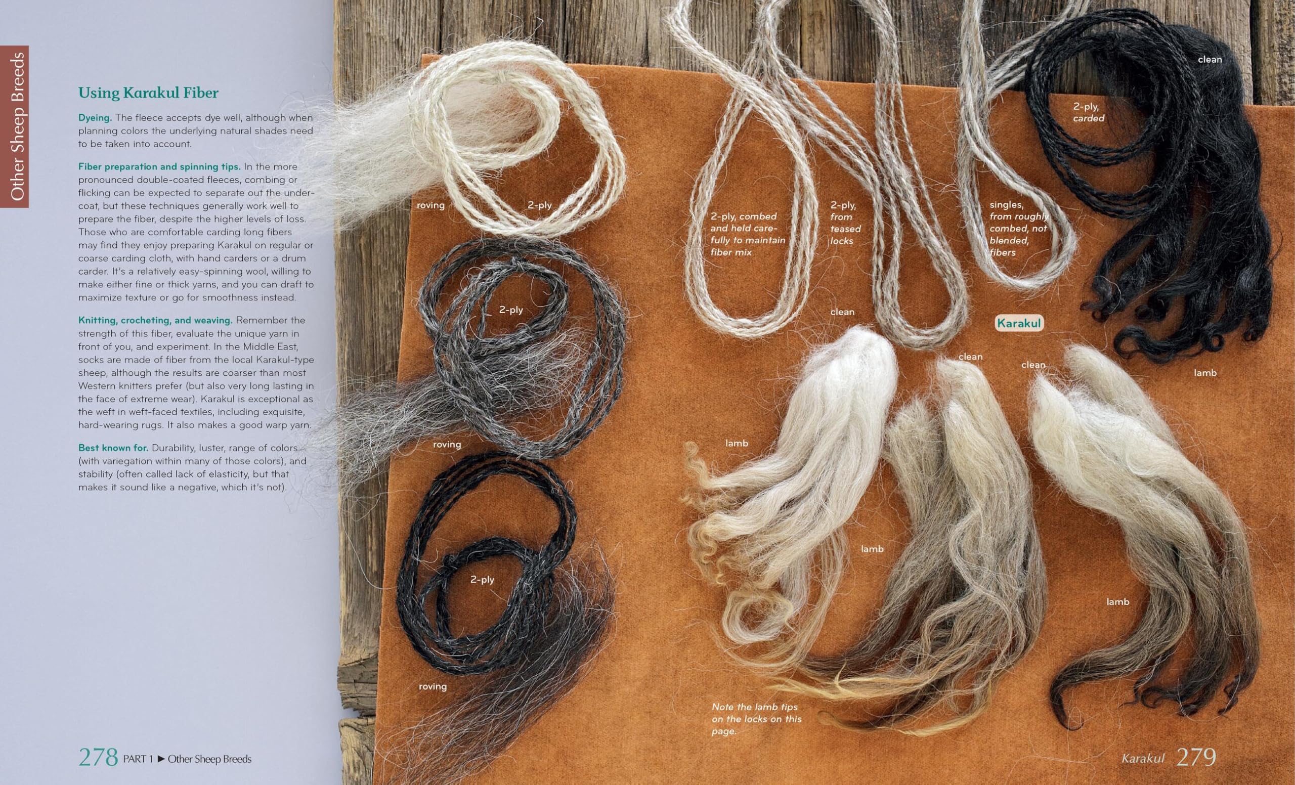 The Fleece & Fiber Sourcebook: More Than 200 Fibers from Animal to Spun Yarn.