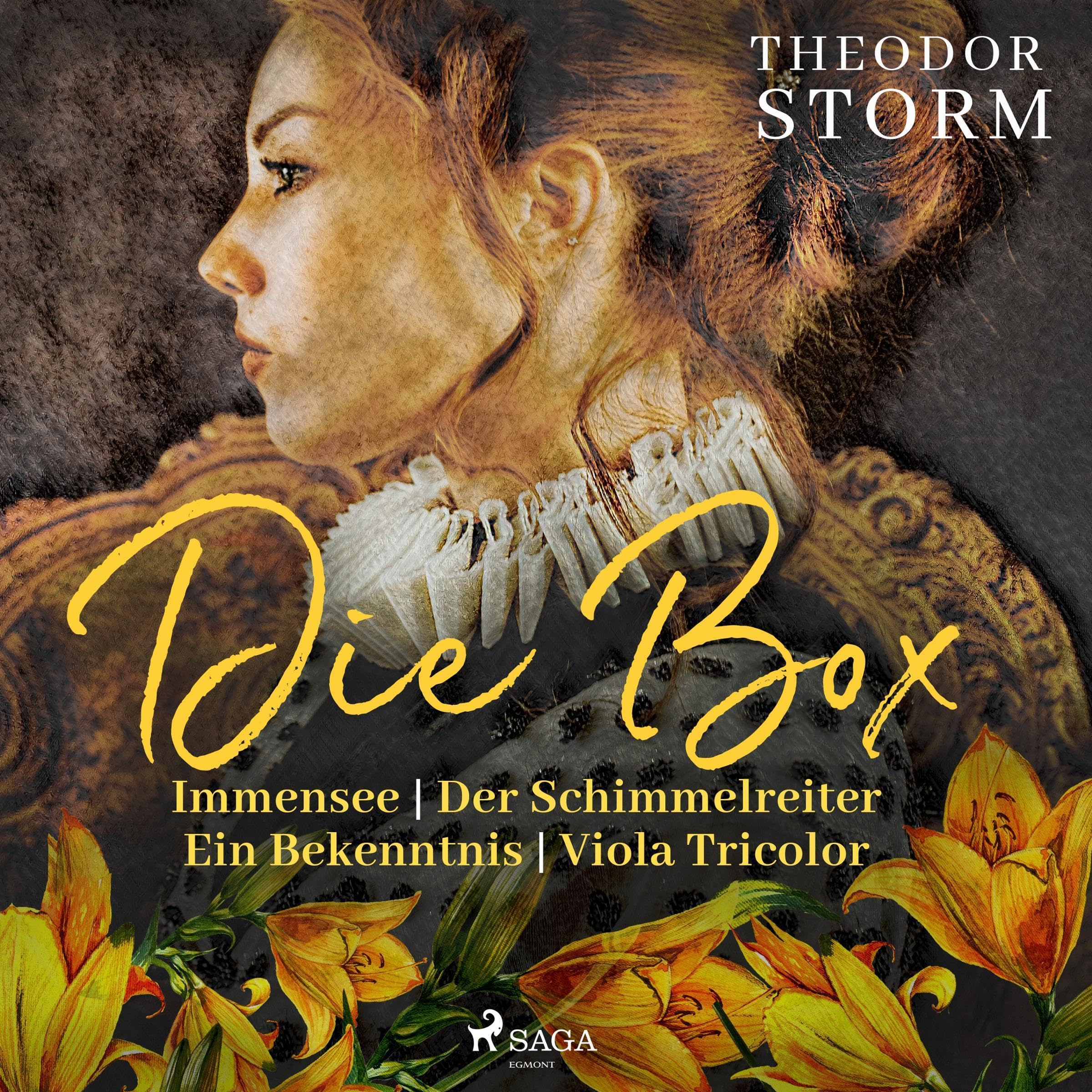 Theodor Storm - Die Box