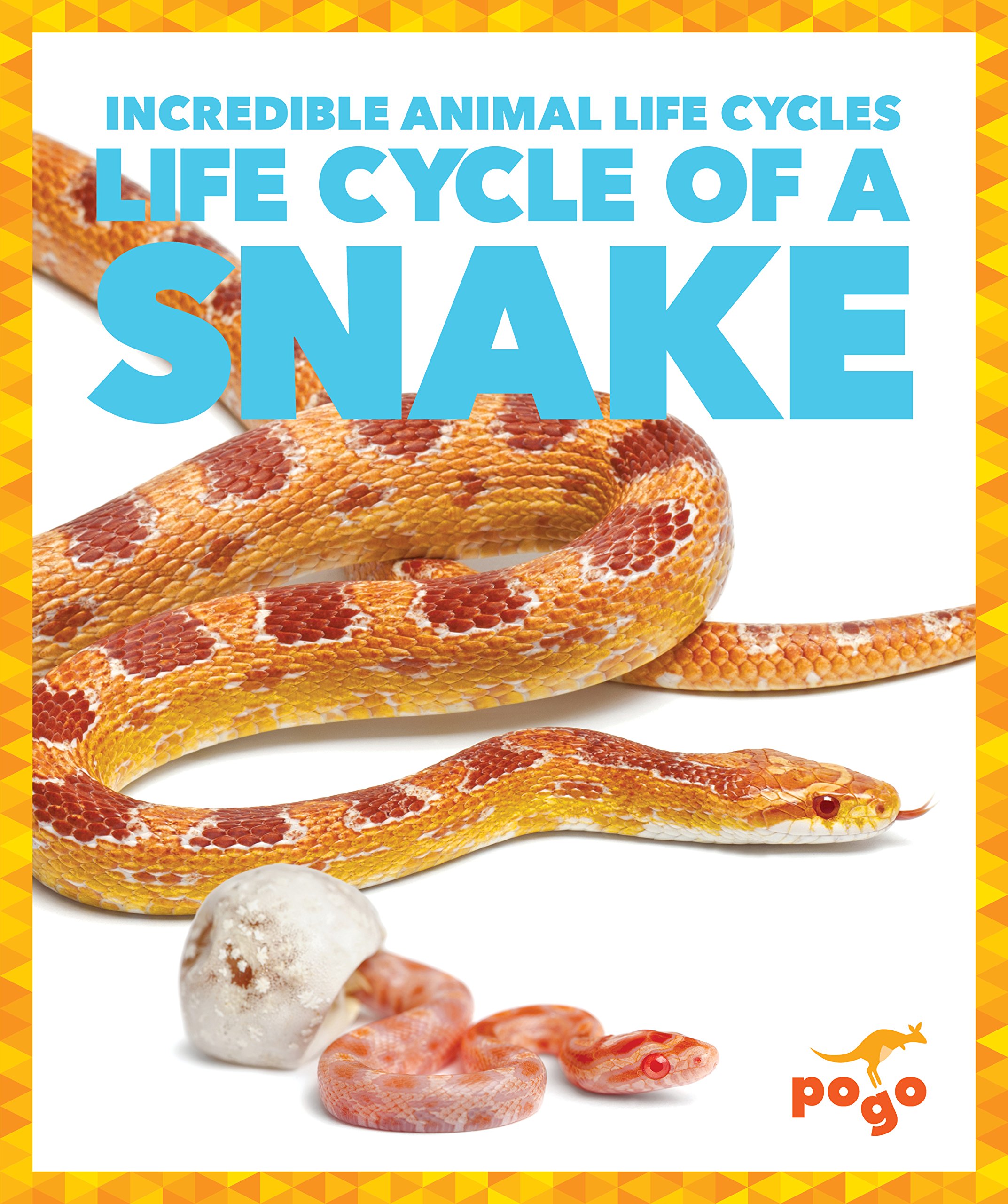 Buy Life Cycle of a Snake (Pogo Books Incredible Animal Life Cycles