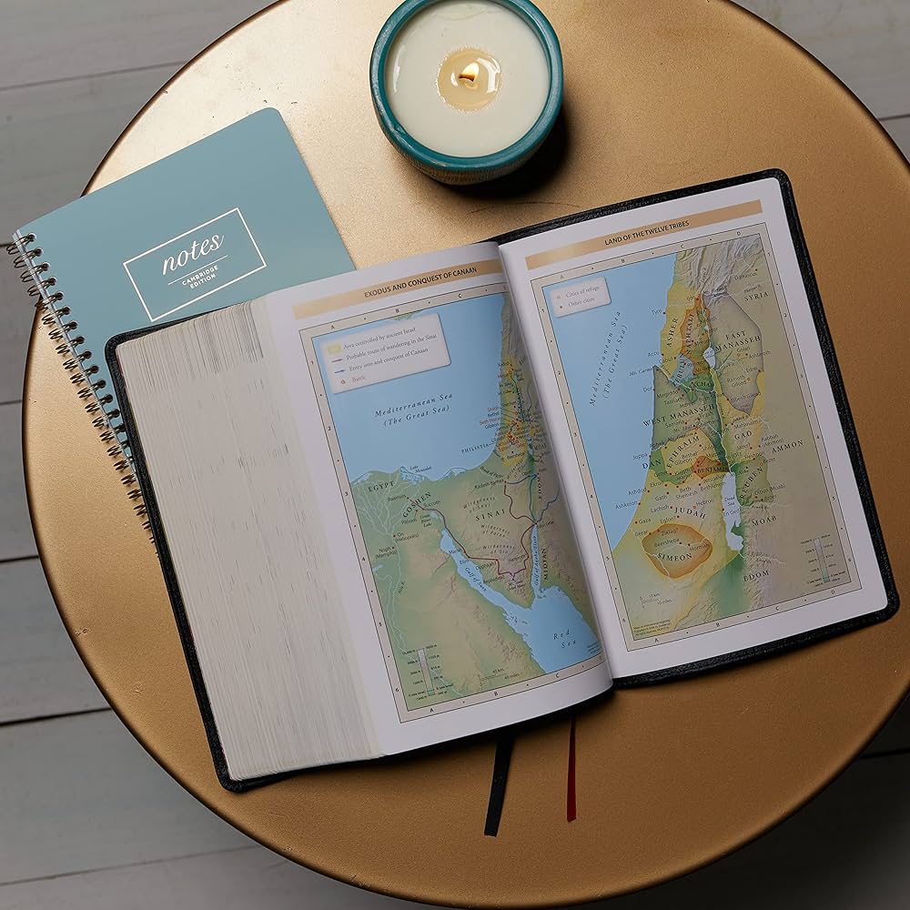 新品未使用　The Woman’s Study Bible NIV, the Woman's Study Bible, Imitation Leather, Blue/Brown