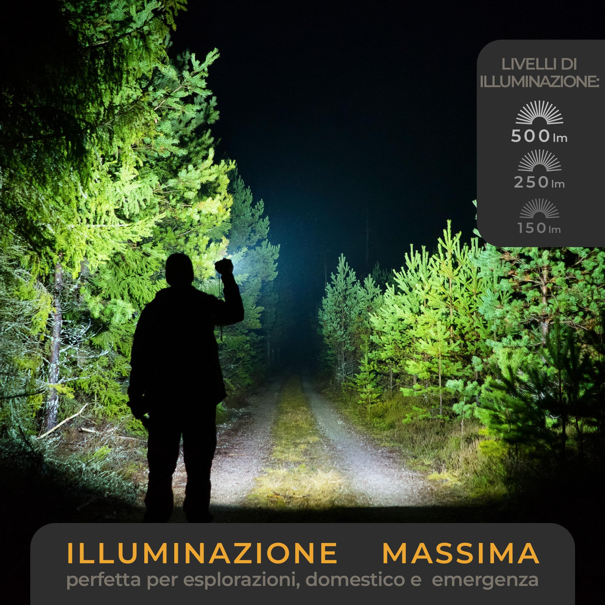 LICHTMEISTER® Torcia (500 lumen con batterie AAA) – Torcia LED potente professionale - estremamente luminosa