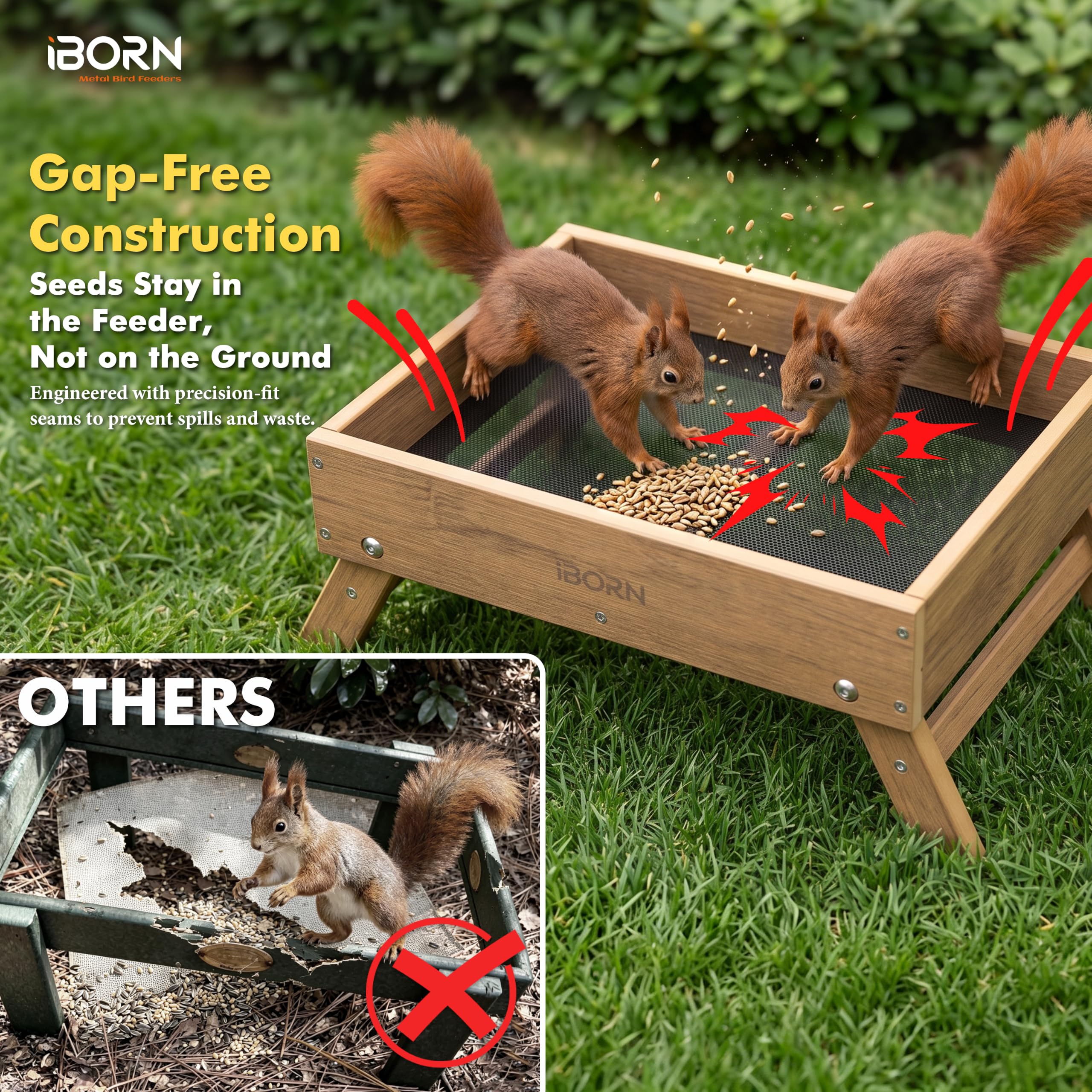 iBorn Ground Bird Feeder - Attract Birds! -5