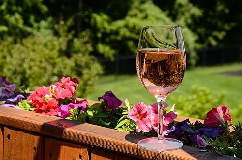 Luigi Bormioli Aero Collection - Juego de cristalería de 20 onzas, transparente