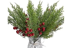 Christmas Plants | Festive Foliage for Festive Decor