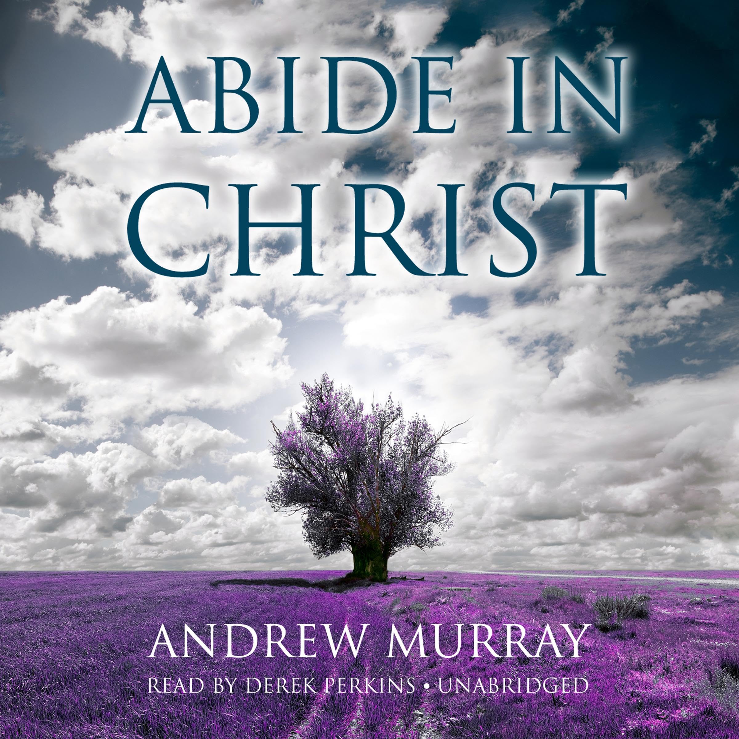 Cover art for Abide in Christ
