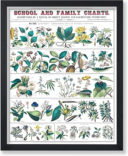 Miniatura 48 de Poster Master Póster vintage de orquídea, estampado de flores retro, arte de pared de plantas exóticas, arte botánico, regalo para hombres y