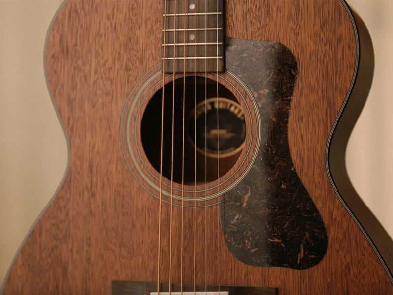 Amazon.com: Guild OM-320 : Musical Instruments