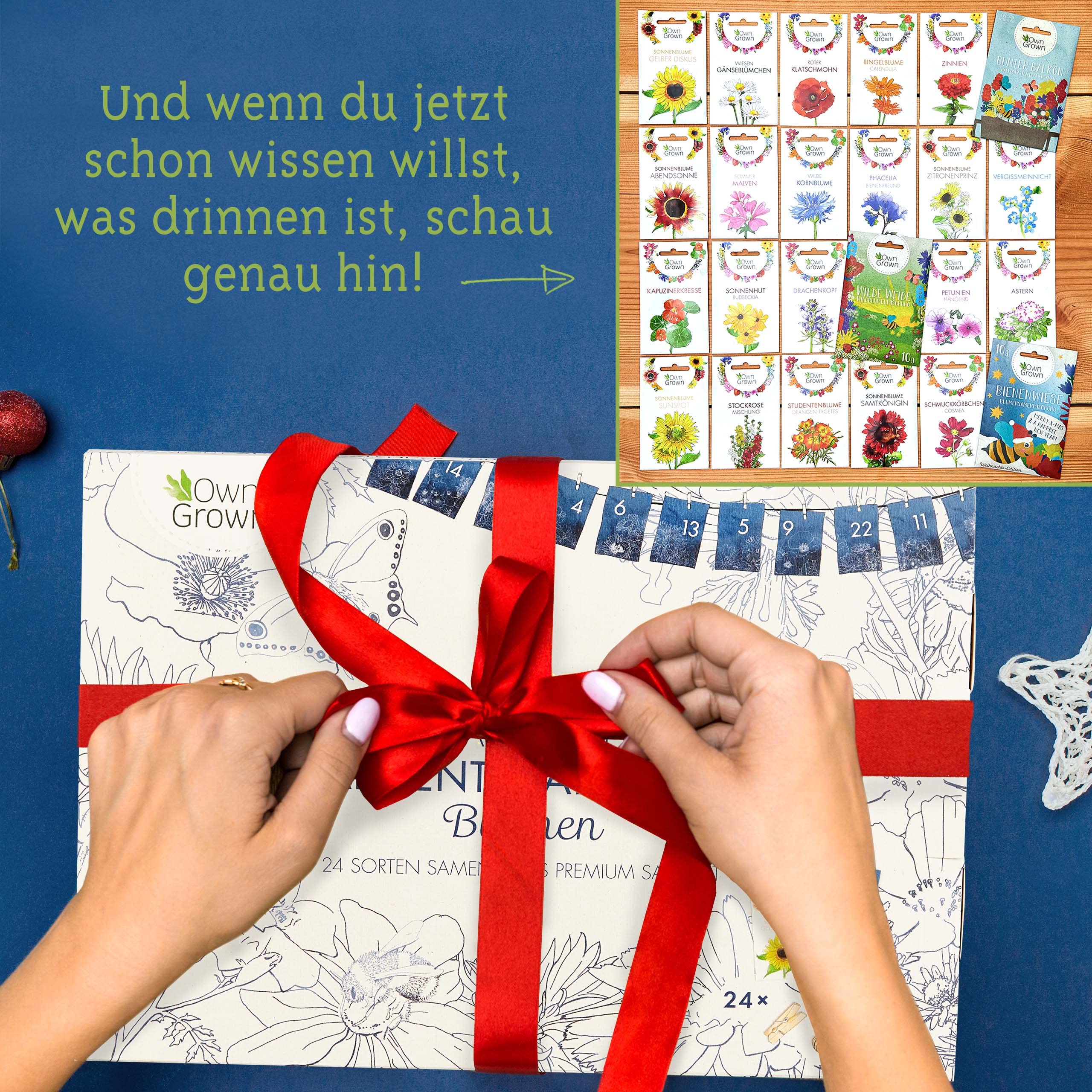 Saatgut Adventskalender 2025: Samen Adventskalender mit Blumensamen - adventskalender Garten DIY Advent Kalender mit Blumen Samen - Ideal Geschenke für Gartenliebhaber - Neuheit 2025 von OwnGrown
