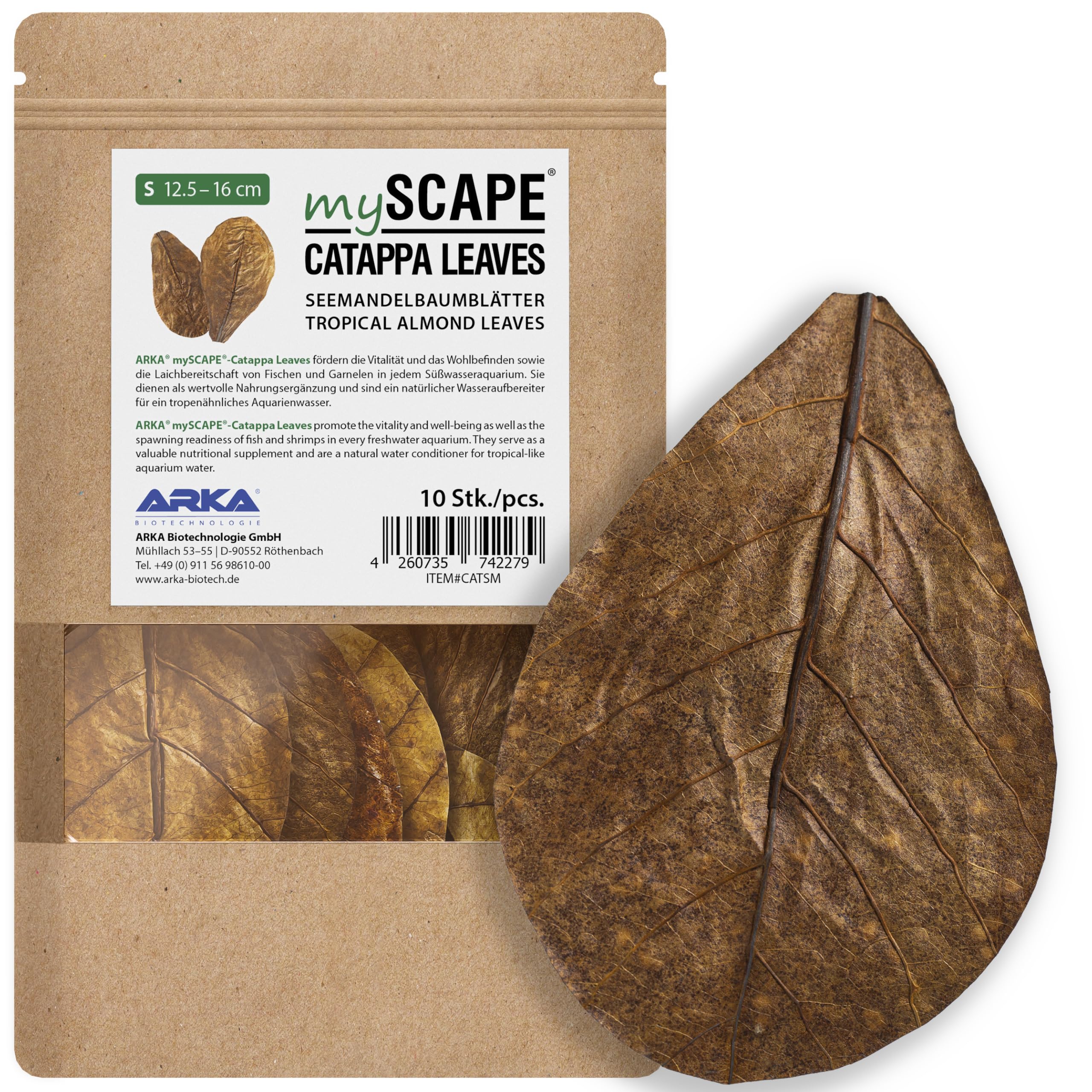 arka myscape-catappa lot de 10 feuilles
