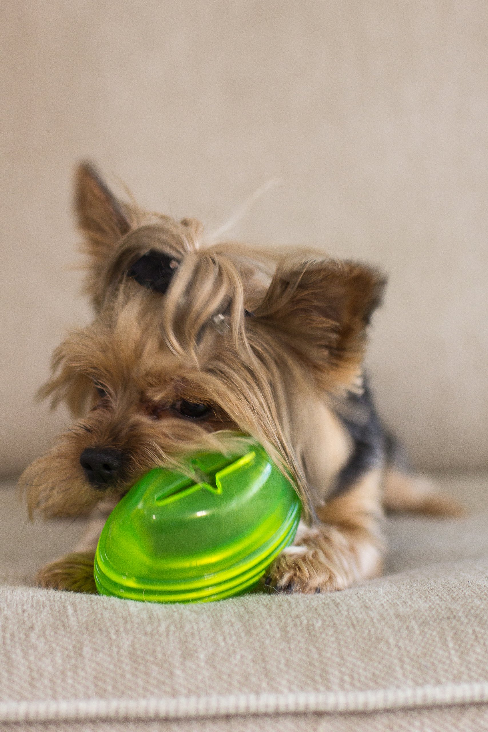 Hero SnackTime Soft Rubber Football, Green Dog Toy