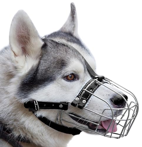 Bozales de Metal Cromado para Perros, Correas de Cuero Ajustables (№5) La Circunferencia es de 29-32 cm