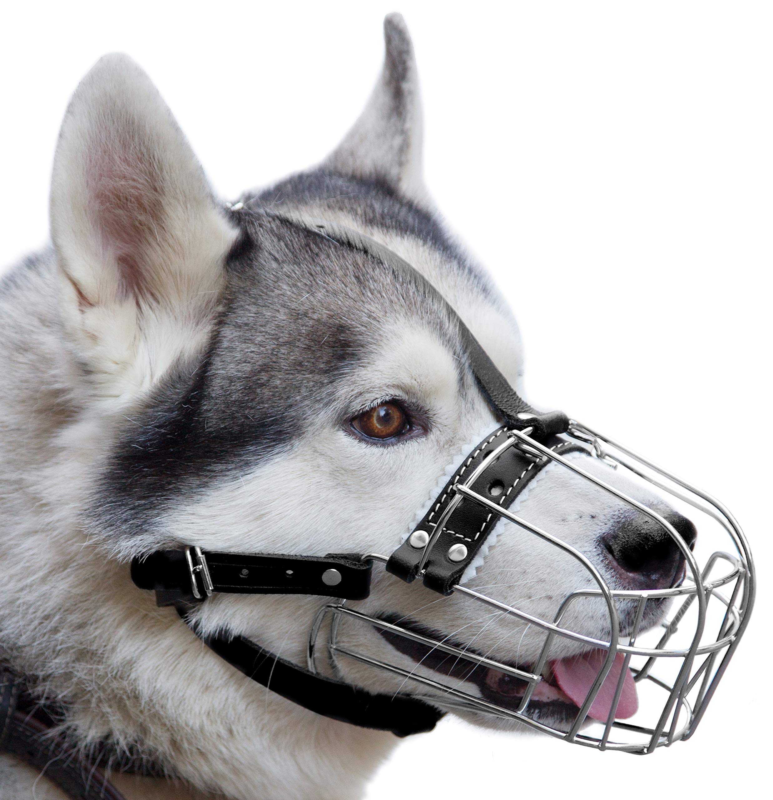Photo 1 of ?5 Dog Chrome Metal Muzzles Wire Basket Genuine Leather Adjustable Leather Straps Circumference is 11.4-12.6 in, Length is 3.5-3.9 in