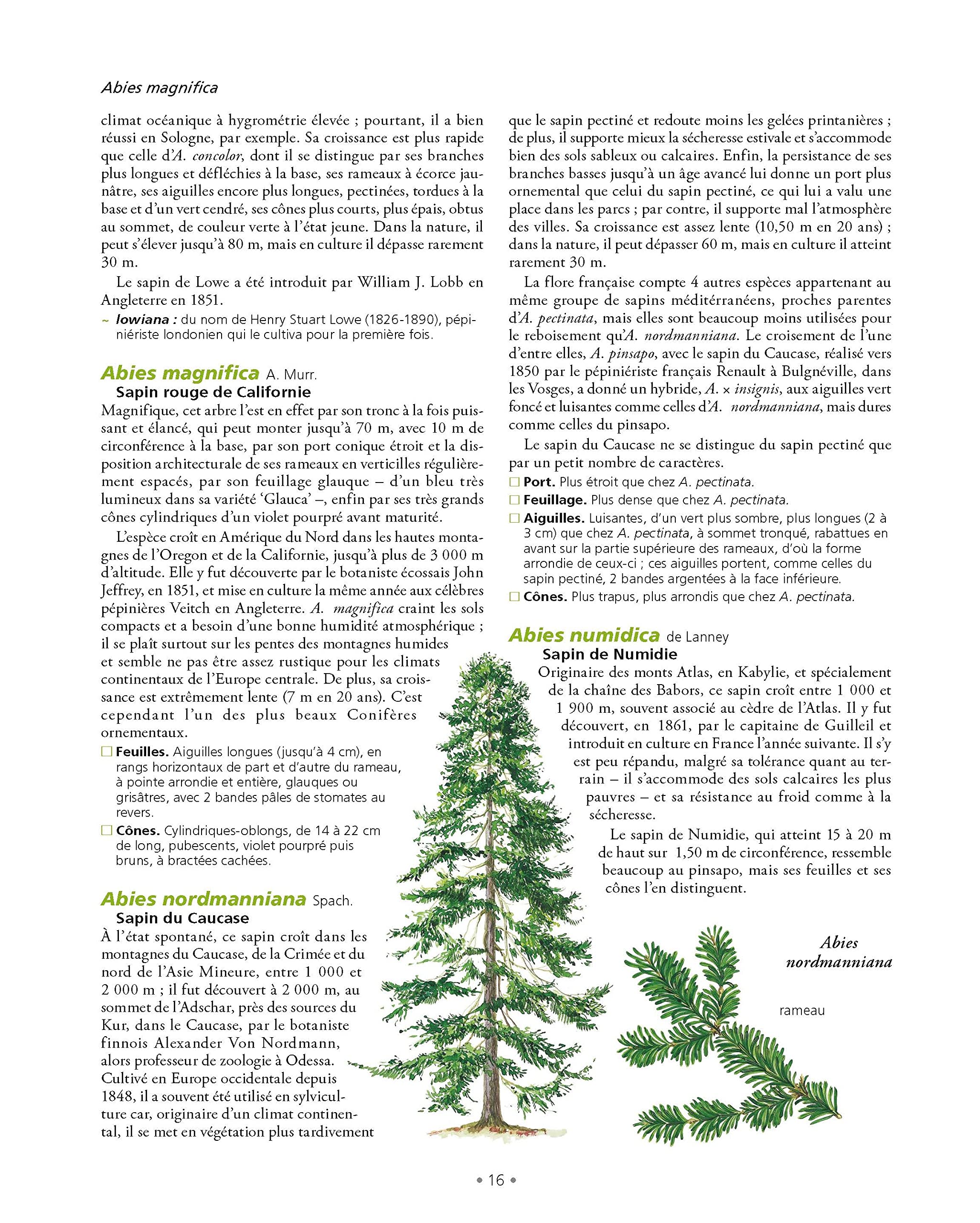 Le Grand Larousse des arbres