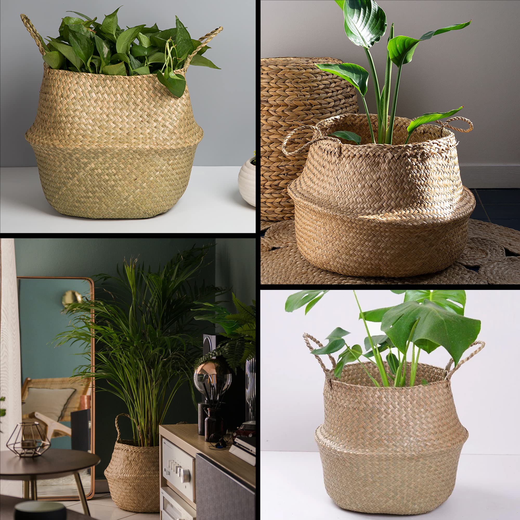 SEED Cesta de Mimbre para Plantas – Tejida a Mano con Mimbre Natural – Aporta Orden y Calidez – Ideal como Cubremacetas Decorativo Interior y Almacenaje – Incluye Semillas de Regalo (Tamaño M)