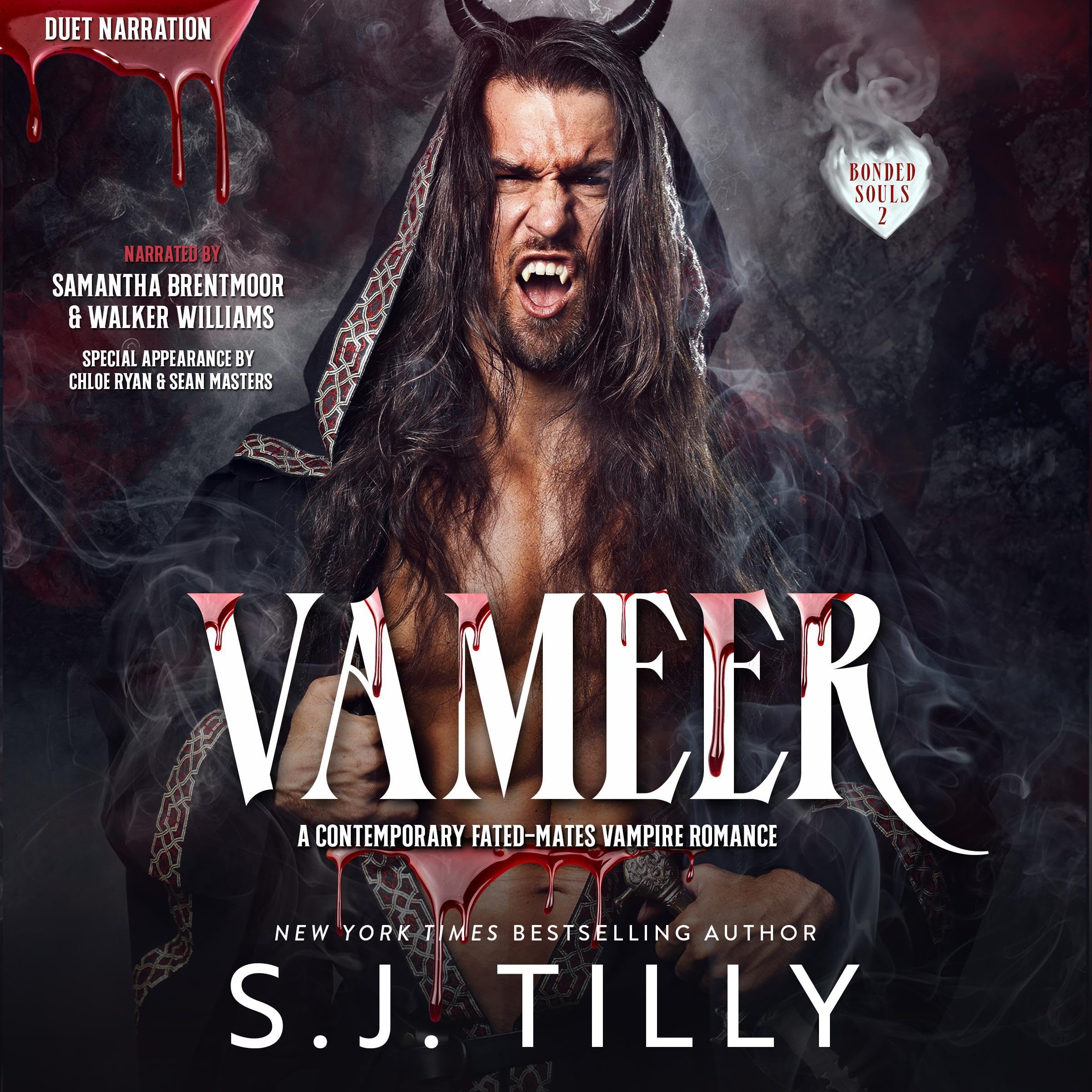 Cover art for Vameer