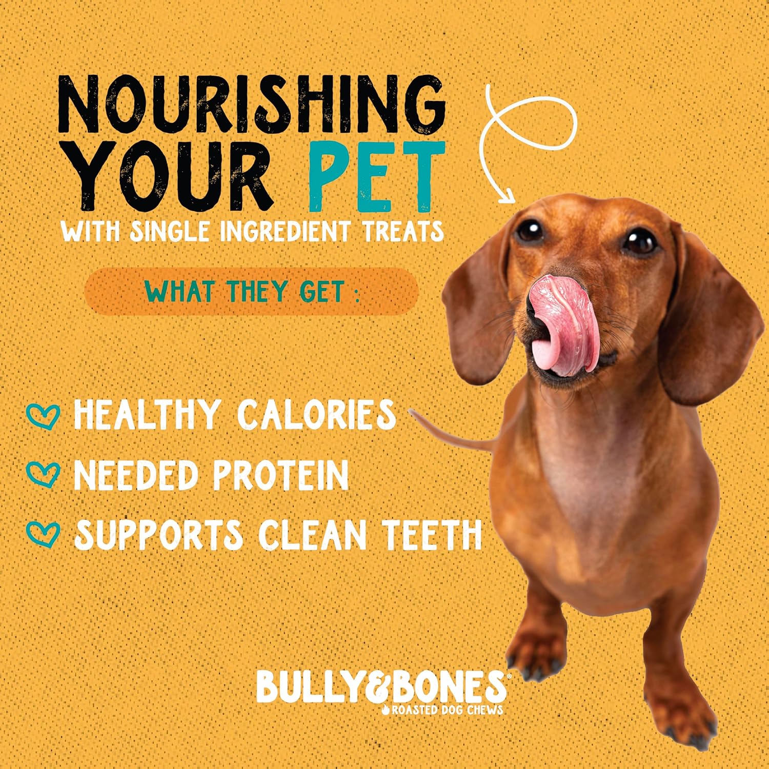 Bully & Bones 6 Inch Odor Free Straight Bully Sticks (15 Pack) for Dogs That Like to Chew. Healthy Single-Ingredient Beef chew Treats Crafted to Stimulate Your Dog’s Taste Buds. 6" Bully Sticks. - Image 4