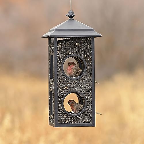 Miniatura 5 de Perky-Pet B00303 - Comedero para pájaros salvajes 1 paquete color negro