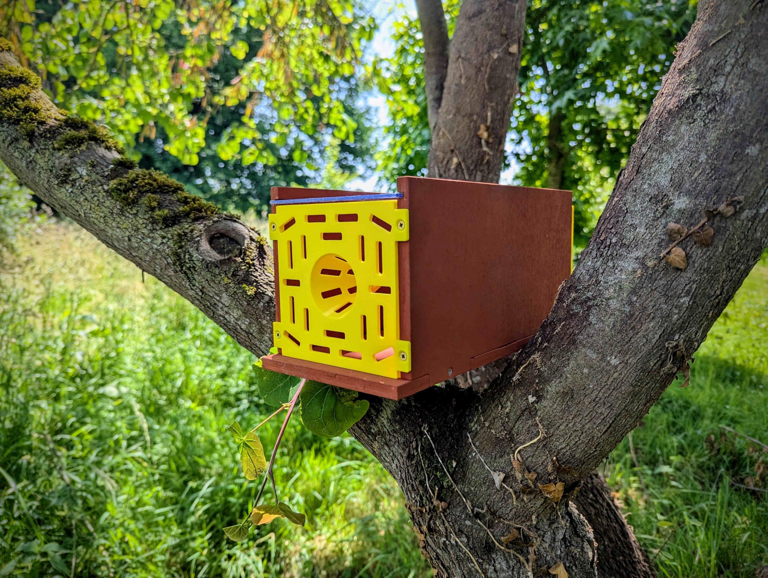 Piège Sélectif pour Frelons Asiatiques, Bois Contreplaqué Okoumé, Peinture à la Farine Rouge, Fabrication Artisanale (Sans kit appât facile)