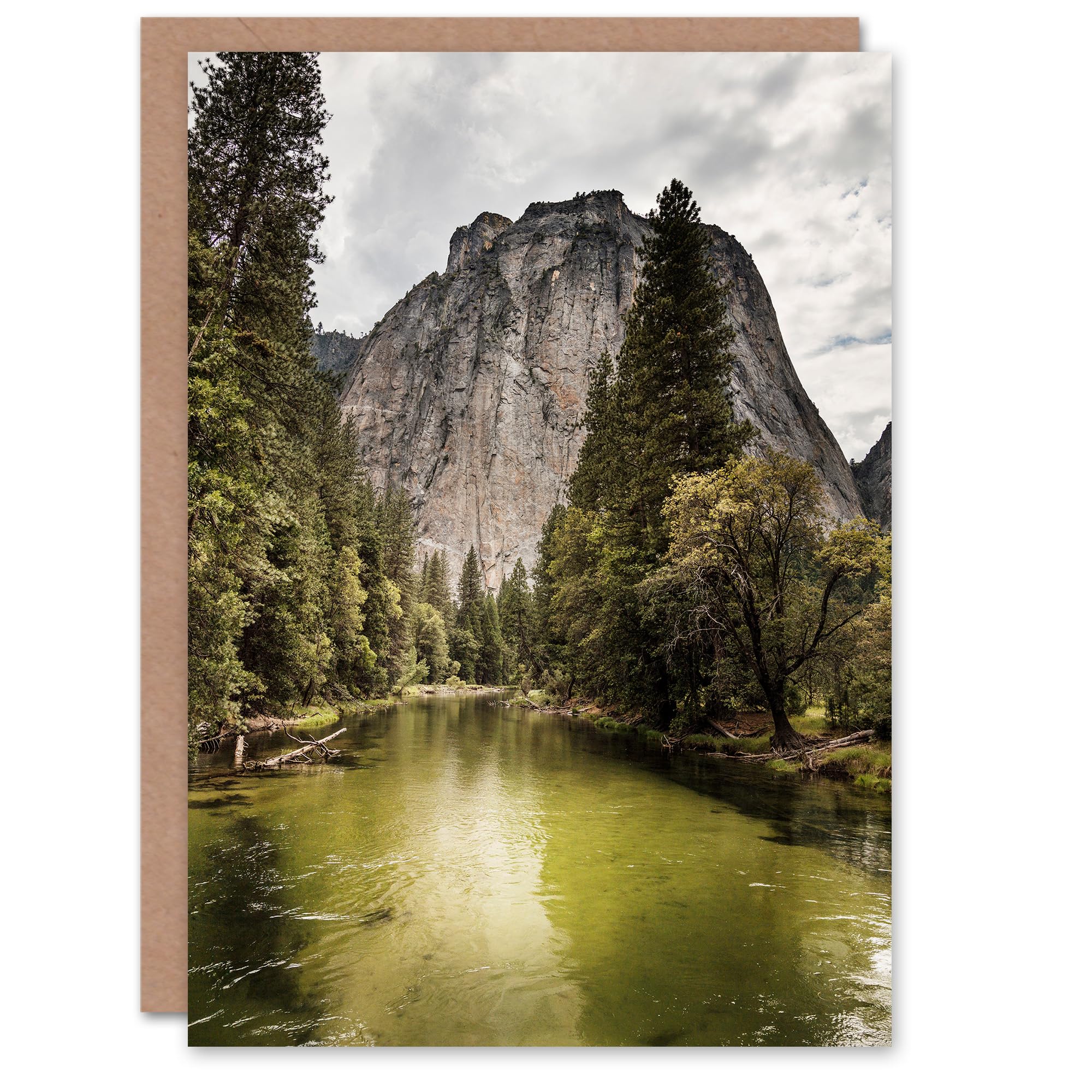 Artery8 Carol M Highsmith Art Card Yosemite National Park United States