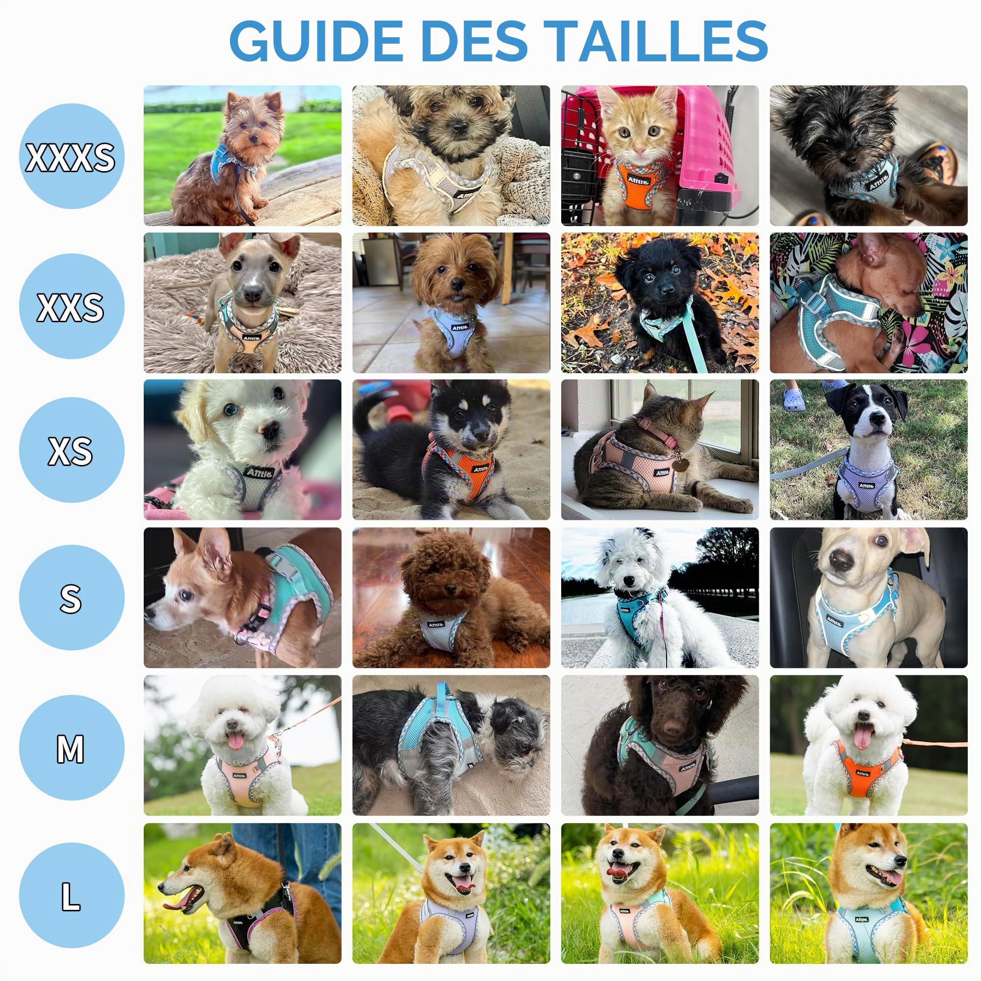AIITLE Ensemble Harnais et Laisse pour Chien pour la Promenade, Harnais pour Chiot, Bandes réfléchissantes, pour très Petits Chiens et Chats domestiques Marron-Beige XXXS