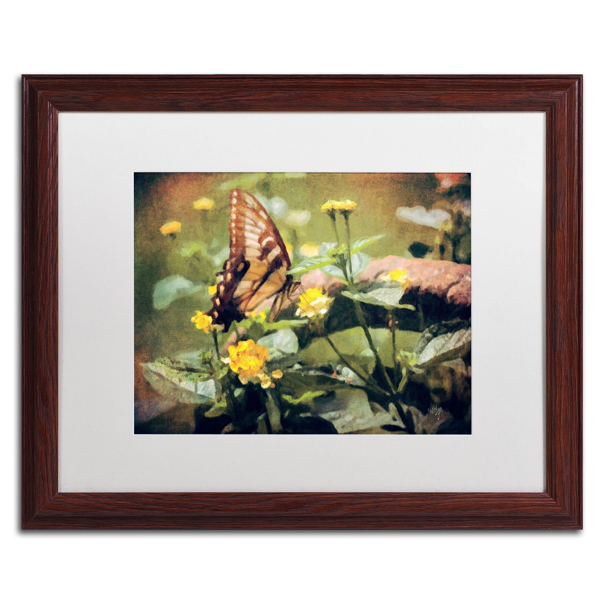 Hidden Treasure in The Sun Artwork by Lois Bryan, 16 by 20-Inch, White Matte with Wood Frame
