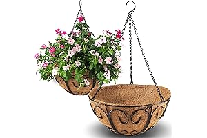 12 INCH Pack of 2 Metal Hanging Planter Basket