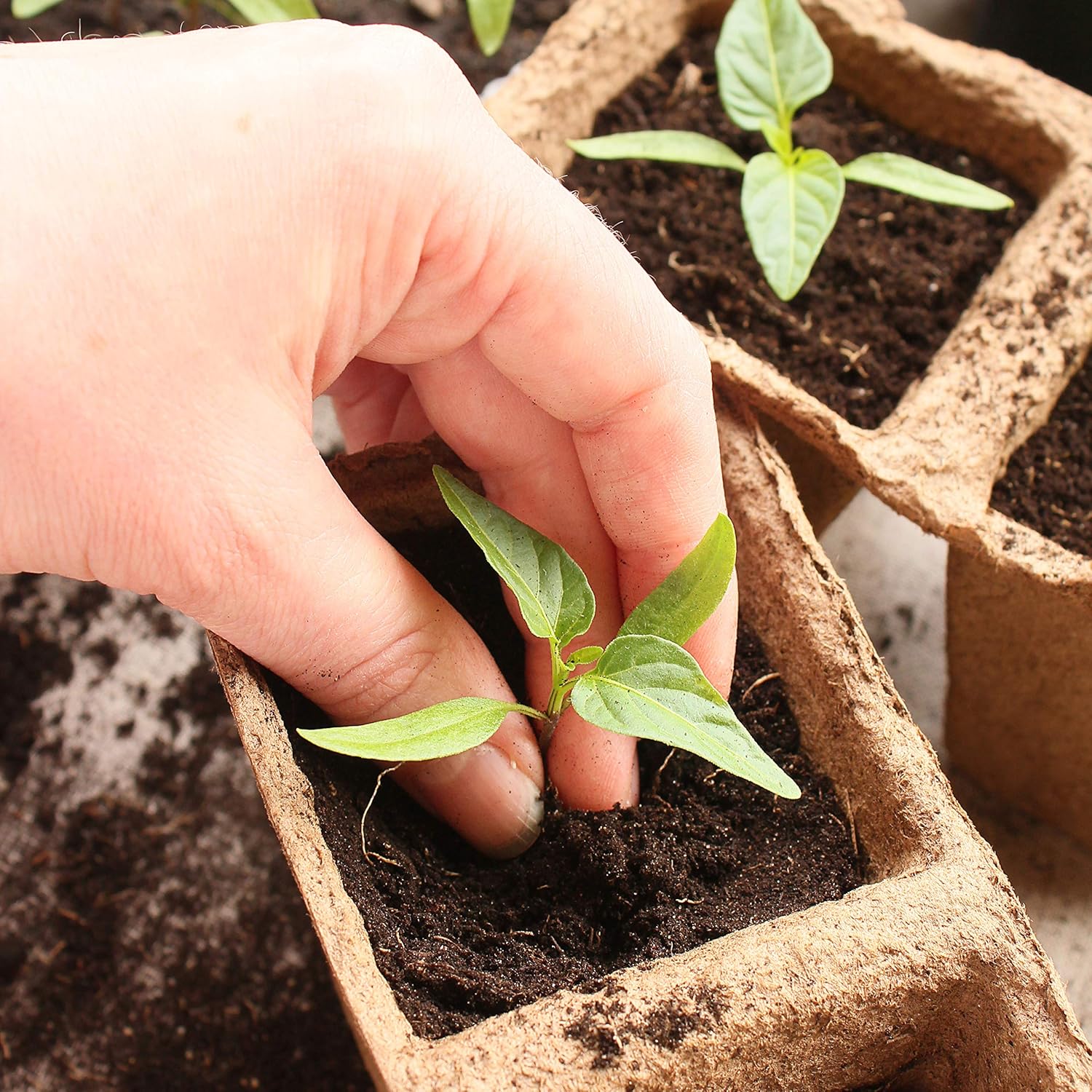 Seed Starter Tray Kit Including 60 Biodegradable Peat Pots 50 Biodegradable Peat Pots Cells 3 Planting Base Tray with Domes 100 Markers and 3 Seed Tools for Vegetable and Flower