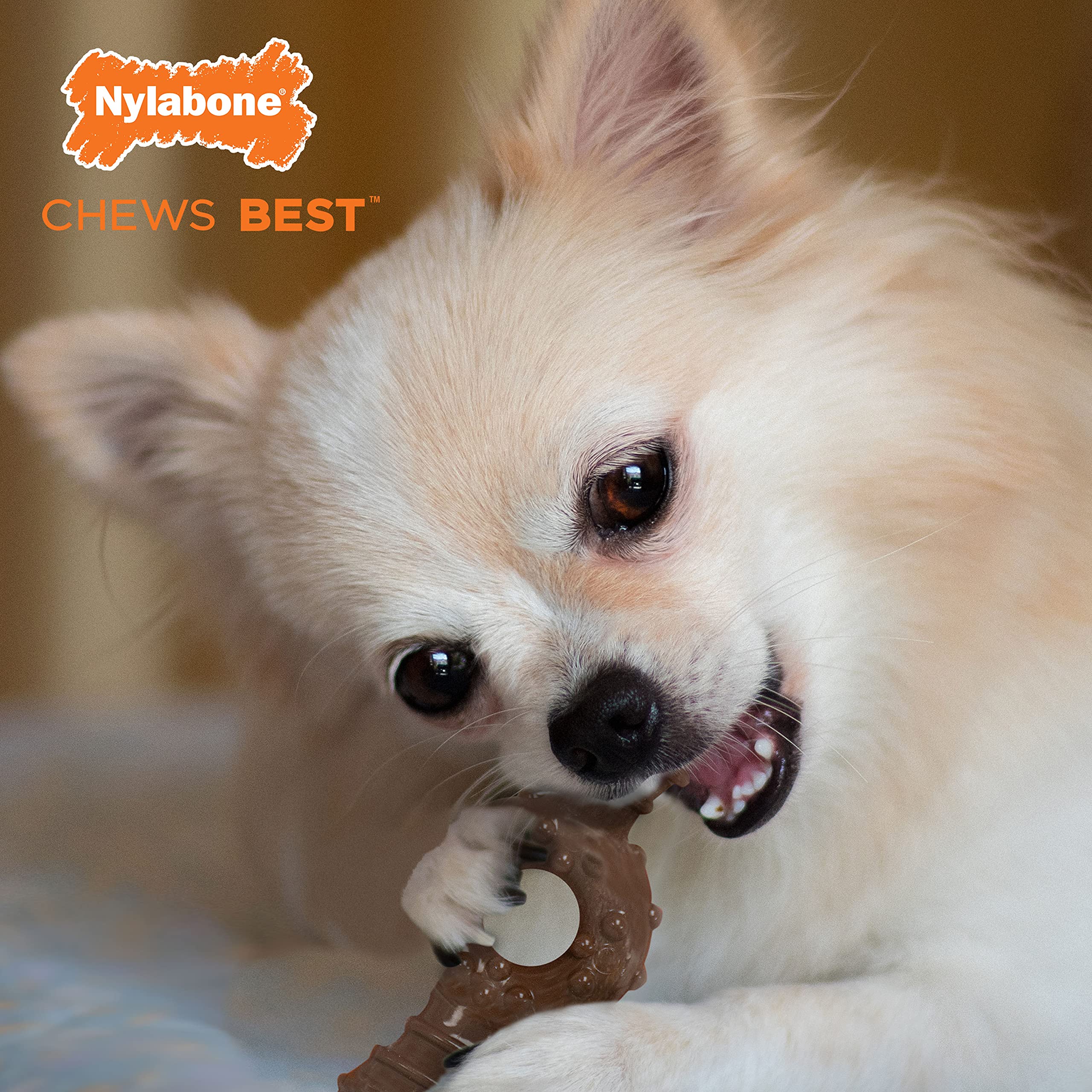Nylabone Power Chew - Anneau à Mâcher Pour Chien Extrême Résistant (Moins De 7 Kg)