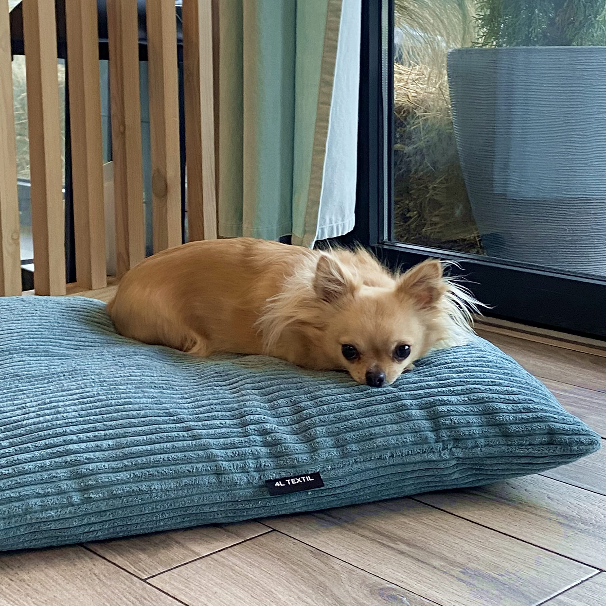 4L Textil ZOE Hondenkussen, wollig corduroy, hondenbed voor grote honden met overtrek en ritssluiting, knuffelig hondenkussen, wasbaar, 100 x 80 cm, grafiet, strepen 4L Textil ZOE Hondenkussen, wollig corduroy, hondenbed voor grote honden met overtrek en ritssluiting, knuffelig hondenkussen, wasbaar, 100 x 80 cm, grafiet, strepen