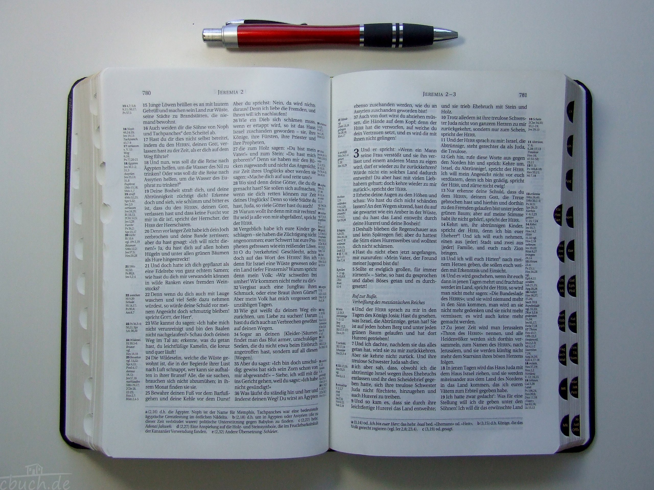 Schlachter 2000 Bibel - Taschenausgabe (Softcover, schwarz, Goldschnitt, Griffregister): Taschenausgabe mit Parallelstellen, Kalbsleder-Einband ... / neue Rechtschreibung / Fadenheftung