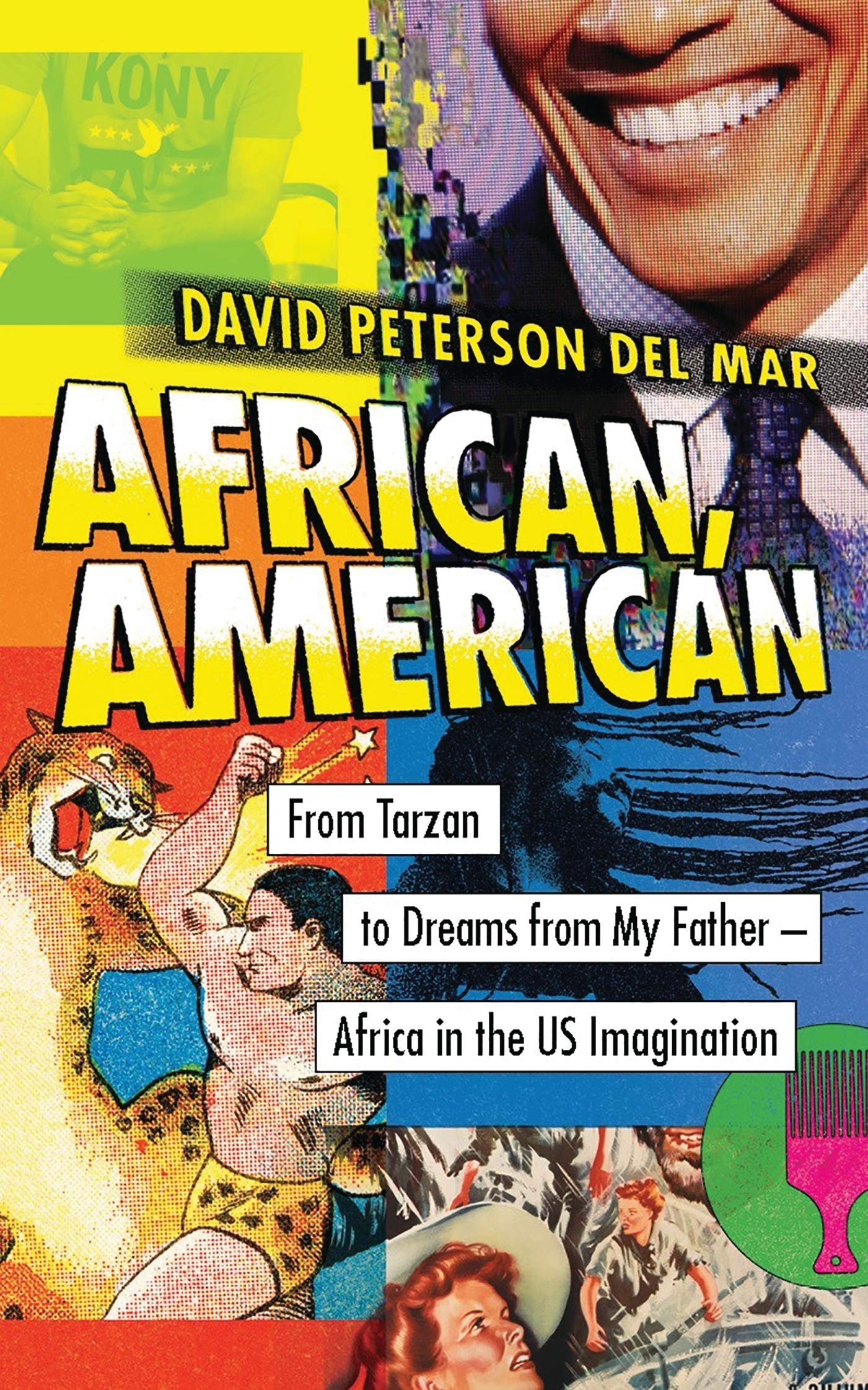 Livre Africa in the US Imagination : analyse culturelle et histoire afro-américaine