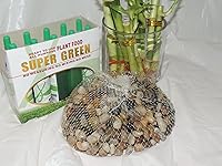 Vista 4 de LUCKY BAMBÚ SET DECORACIÓN RIVER ROCK y SUPER VERDE PLANTA ALIMENTOS