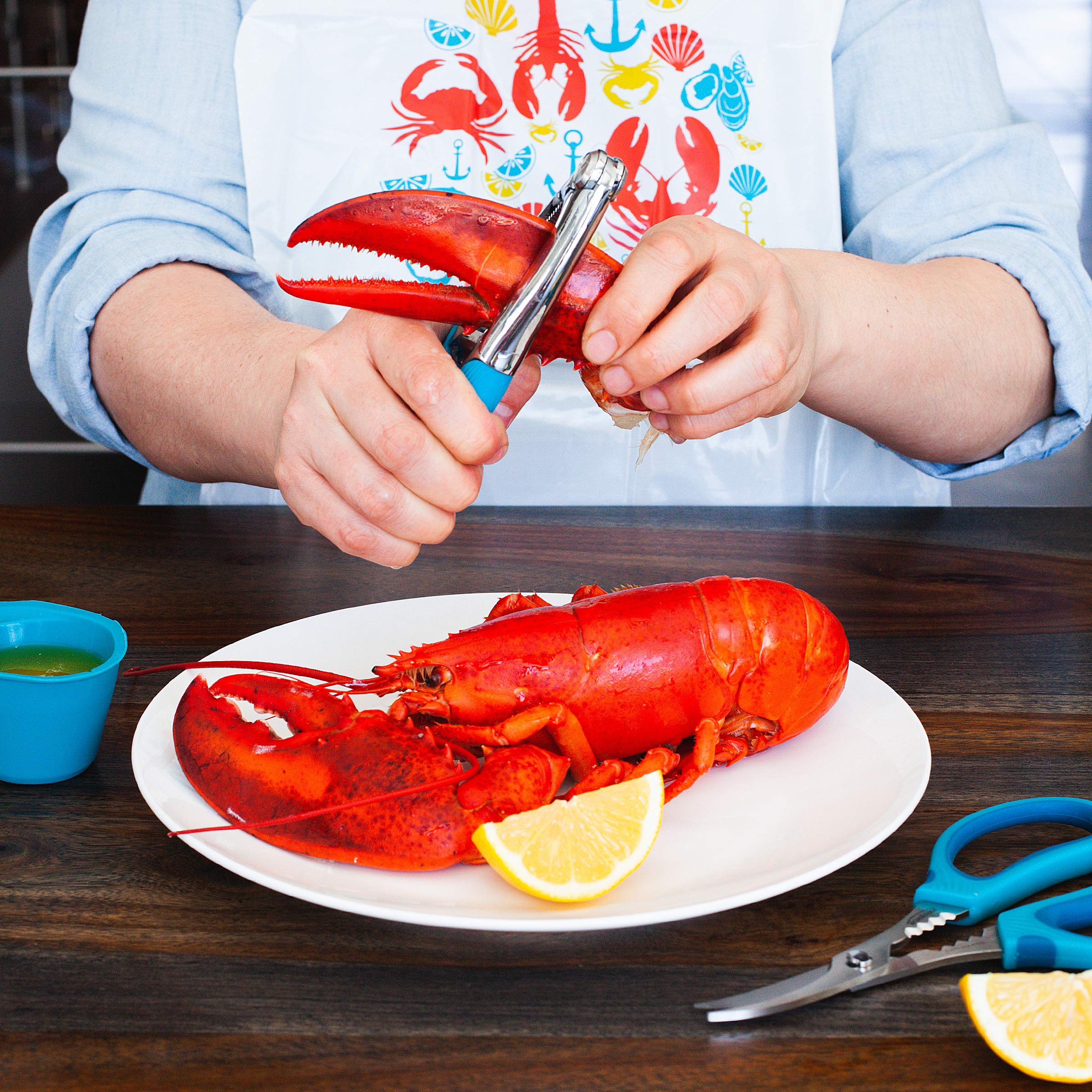 Trudeau 05115072 Casse-Fruits de Mer Inox Tropical