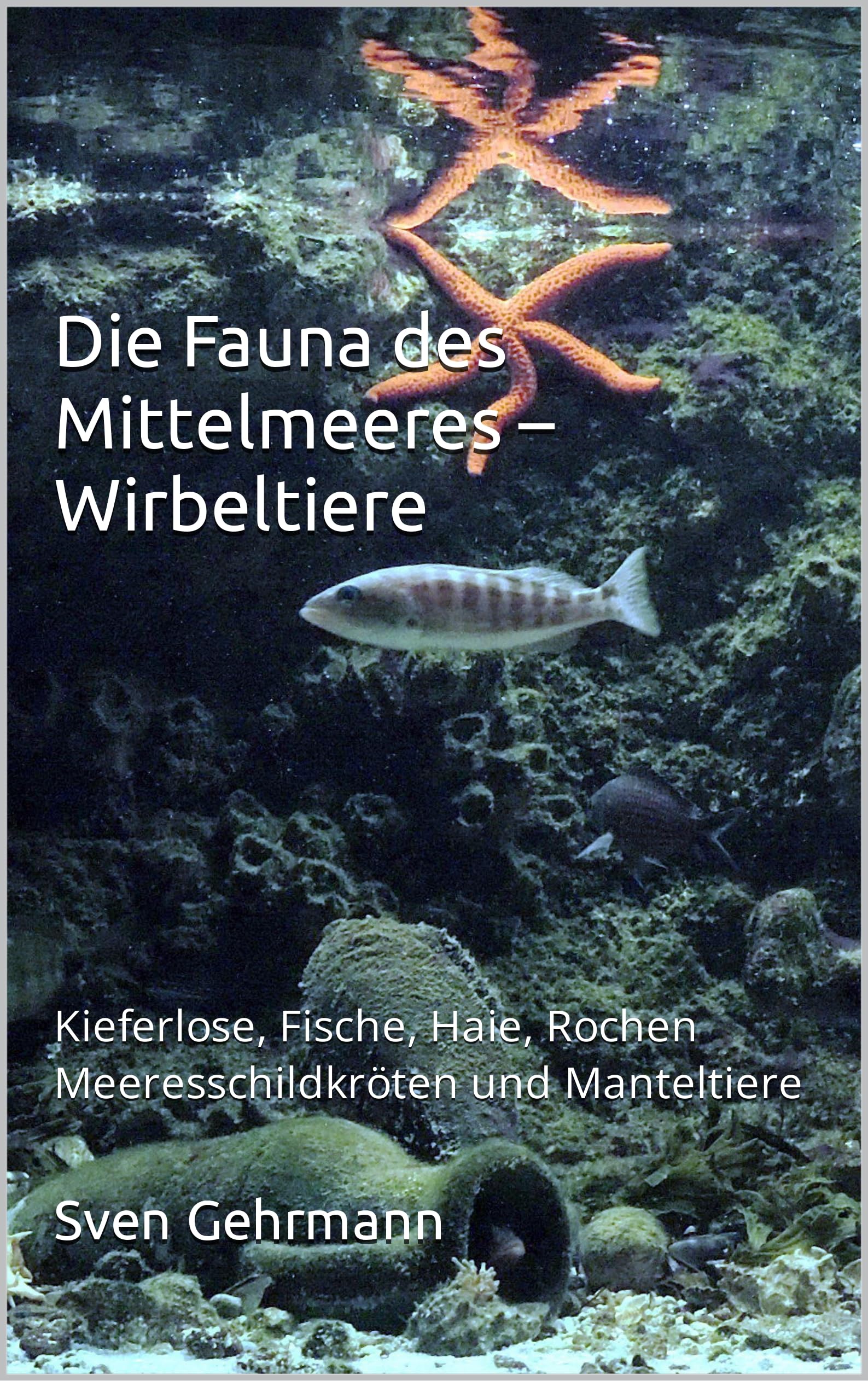 Die Fauna des Mittelmeeres – Wirbeltiere: Kieferlose, Fische, Haie, Rochen Meeresschildkröten und Manteltiere (German Edition)
