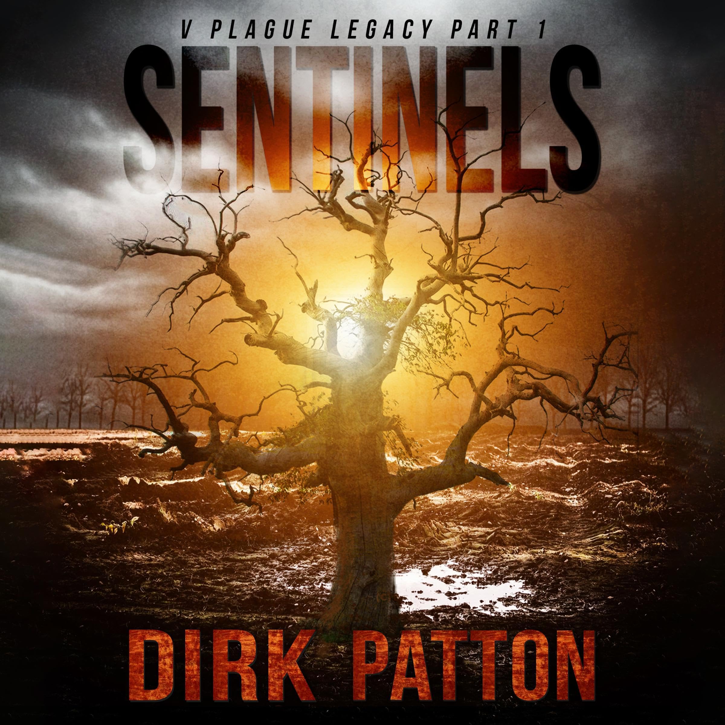 Cover art for Sentinels