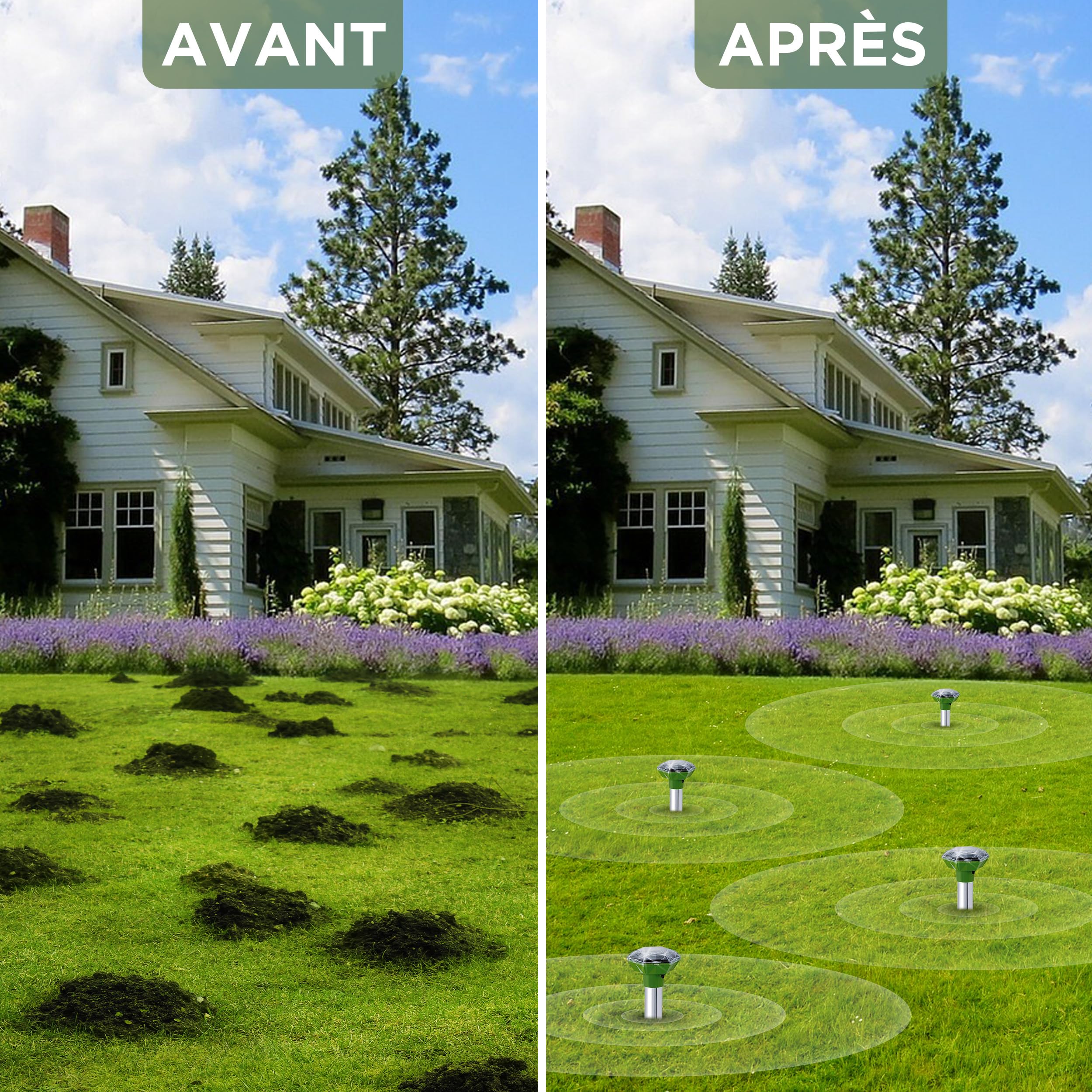 ISOTRONIC Répulsif Solaire Taupes, campagnols et Serpents – avec Piquet de Sol pour Le Jardin – Protection Efficace sans Poison – Portée 1 250 m² – Lot de 2 unités pour Grands terrains et Jardins