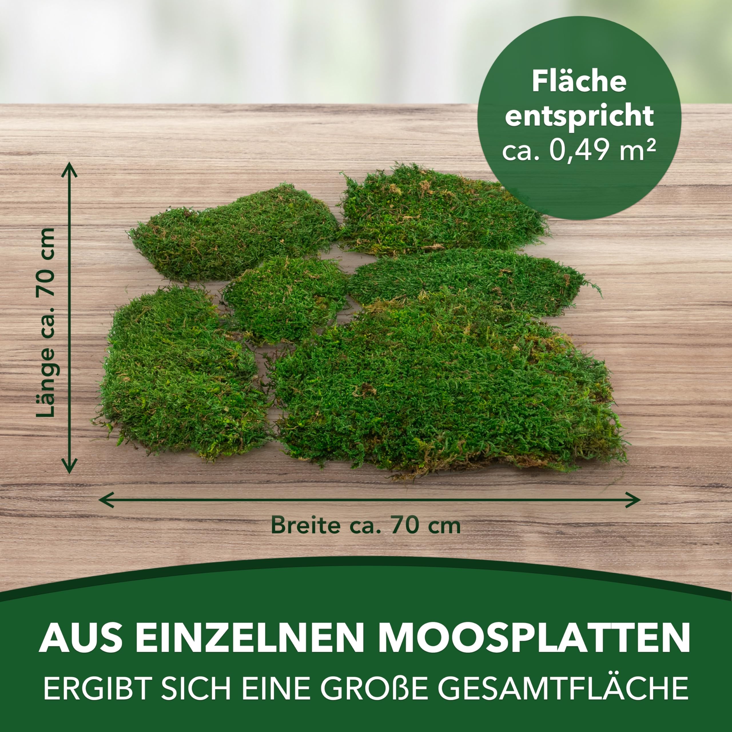 Sphagnum-Shop Plattenmoos konserviert Dekomoos Premium Qualität Grün 750g | Moos für Moosbilder, Moos Deko, DIY Moosmatten oder Moos zum basteln
