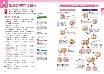 図解生理学 Amazon.co.jp: カラ-図解生理学の基本がわかる事典 : 石川隆: 本