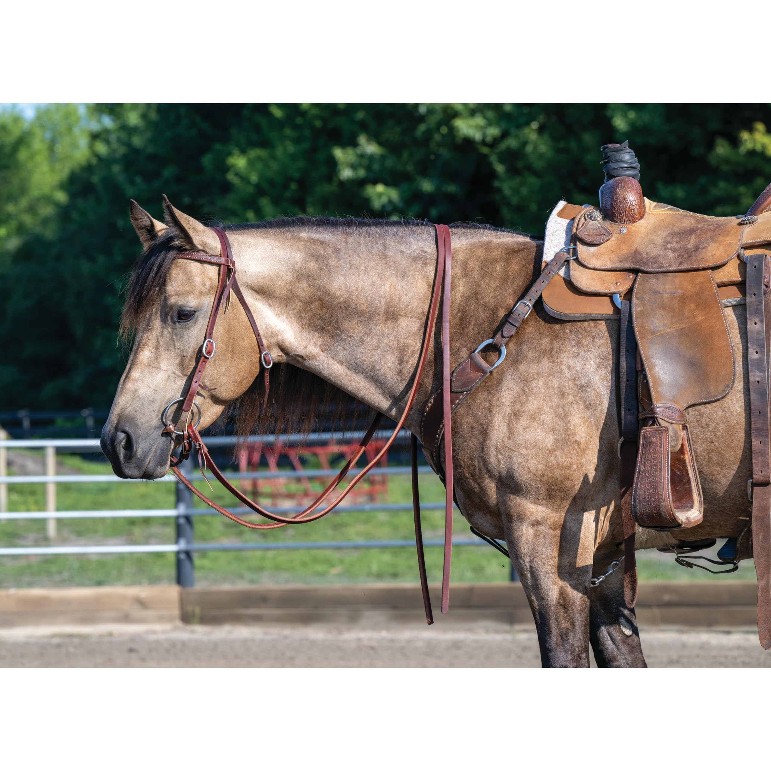 Weaver Leather ProTack - Llave de Bobina con Aceite