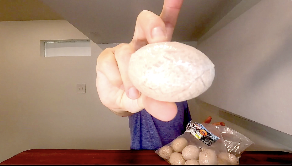 Best Kids Excavation Kit? | DinoMax Dinosaur Eggs + Dino Toy