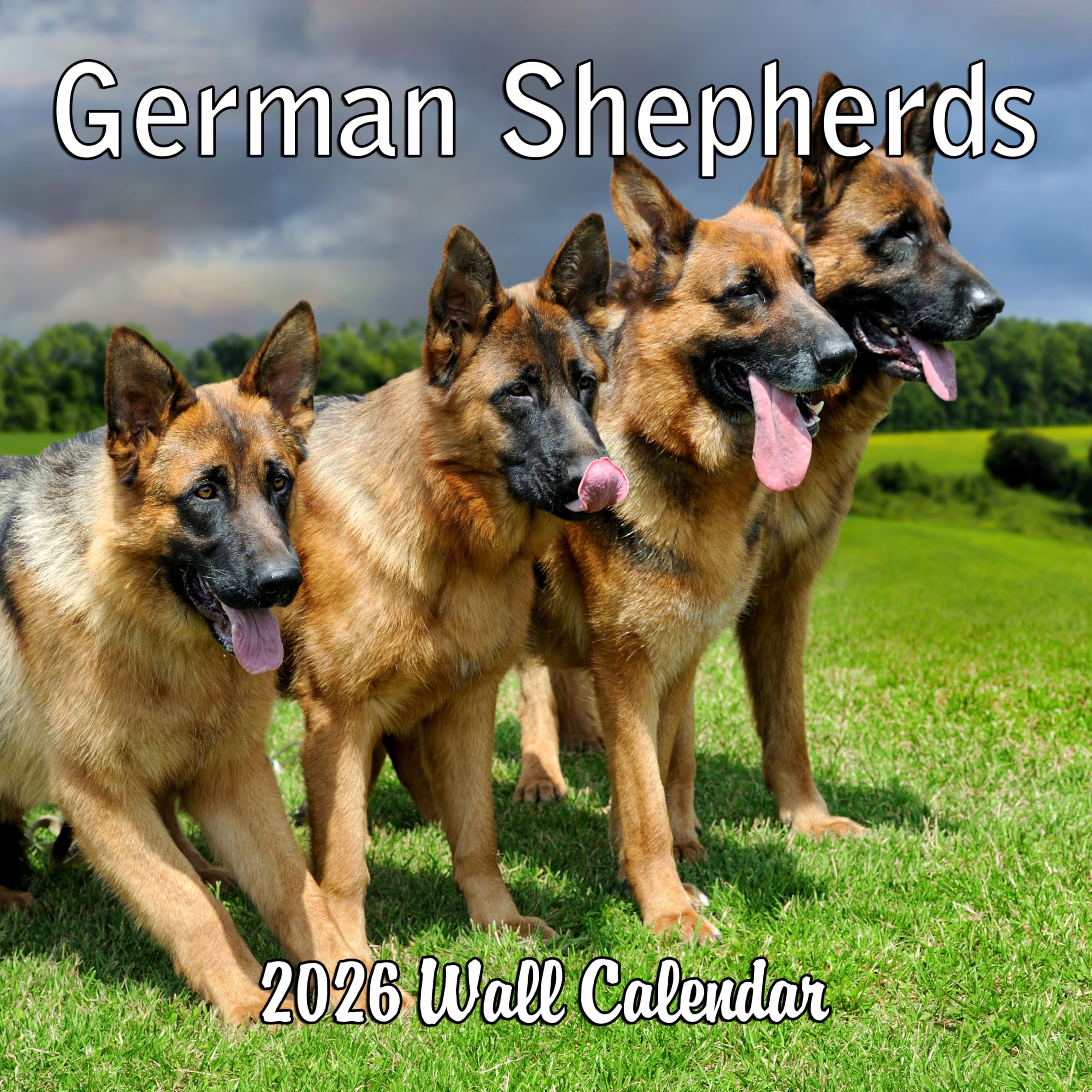 2025 German Shepherds Monthly Wall Calendar