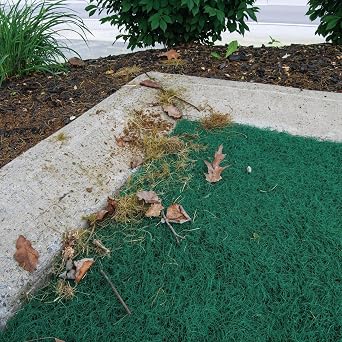 PIG Coir Storm Drain Filter with Magnets | Over the Drain Sediment Filter| for Storm Drains up to 26 W x 48 L| Green | PMB30621
