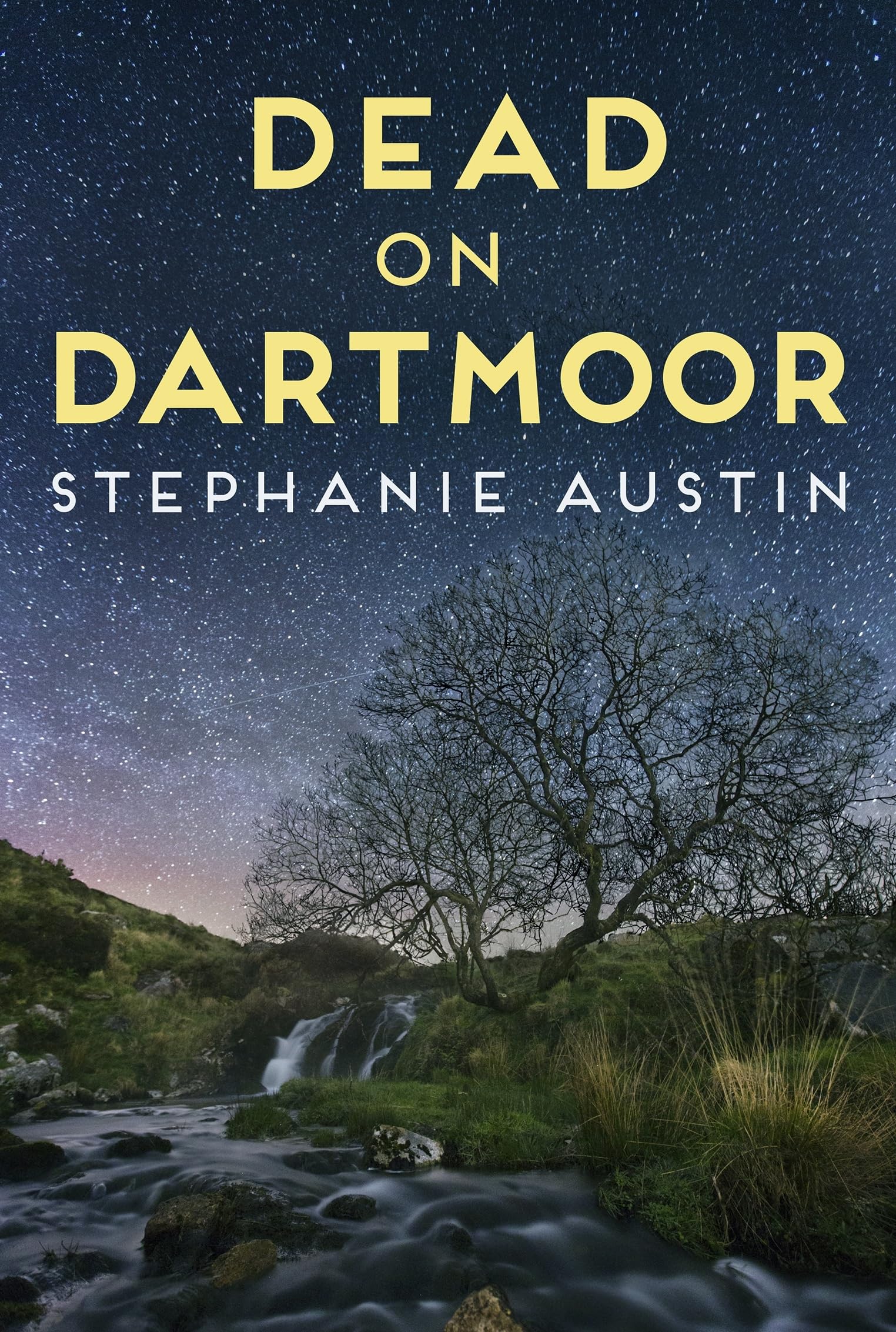 Dead on Dartmoor: The thrilling cosy crime series (Devon Mysteries, 2)